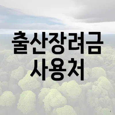출산장려금 사용처