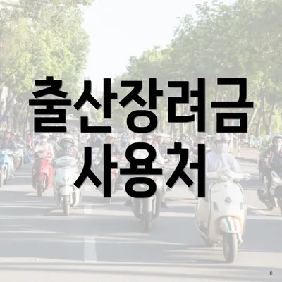 출산장려금 사용처