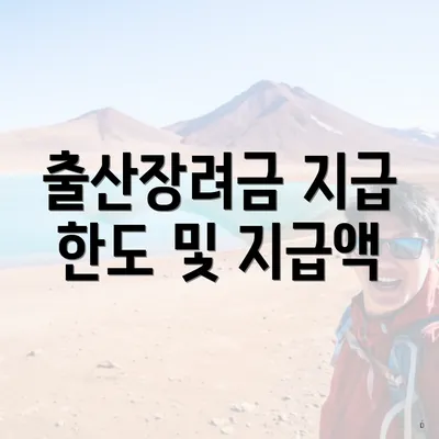출산장려금 지급 한도 및 지급액