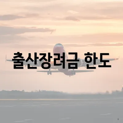 출산장려금 한도