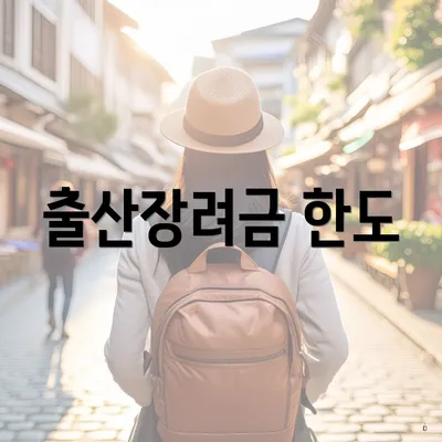출산장려금 한도