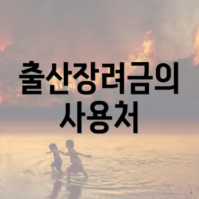 출산장려금의 사용처