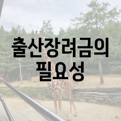 출산장려금의 필요성