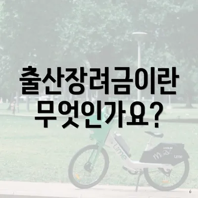 출산장려금이란 무엇인가요?