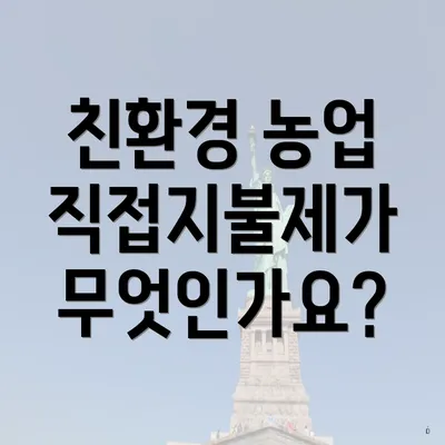 친환경 농업 직접지불제가 무엇인가요?