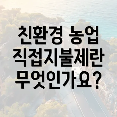 친환경 농업 직접지불제란 무엇인가요?