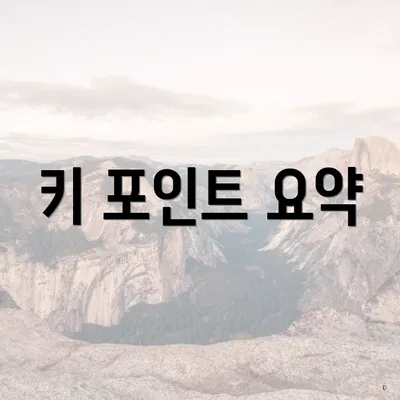 키 포인트 요약