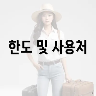 한도 및 사용처