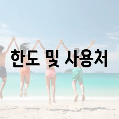 한도 및 사용처