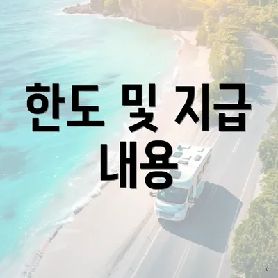 한도 및 지급 내용