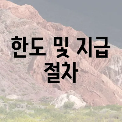 한도 및 지급 절차