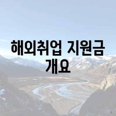 해외취업 지원금 개요