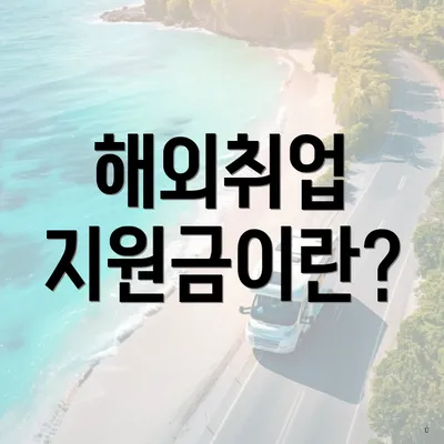 해외취업 지원금이란?