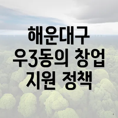 해운대구 우3동의 창업 지원 정책