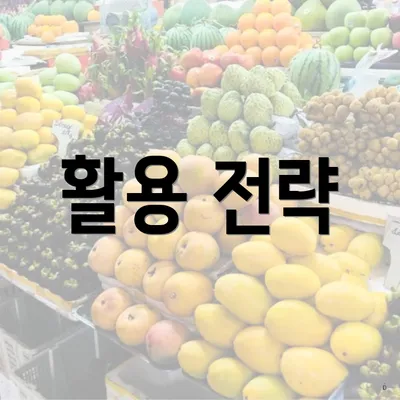 활용 전략