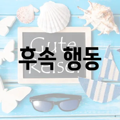후속 행동