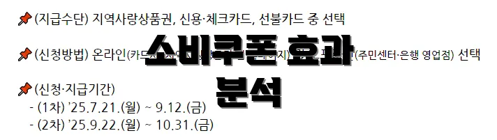 소비쿠폰 효과 분석