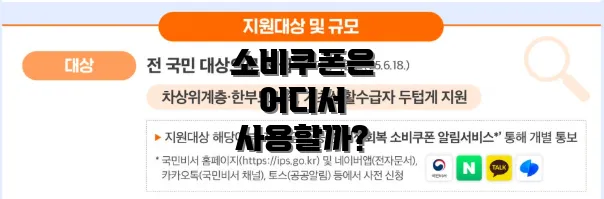 소비쿠폰은 어디서 사용할까?