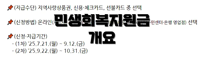 민생회복지원금 개요