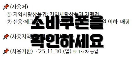 소비쿠폰을 확인하세요