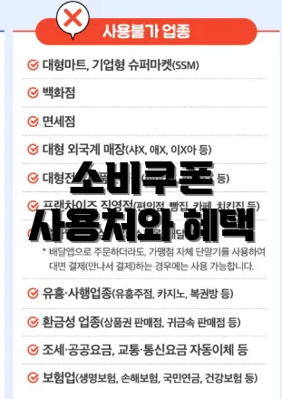 소비쿠폰 사용처와 혜택