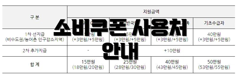 소비쿠폰 사용처 안내