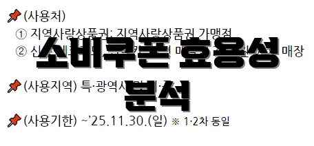 소비쿠폰 효용성 분석