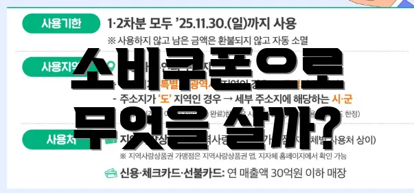 소비쿠폰으로 무엇을 살까?