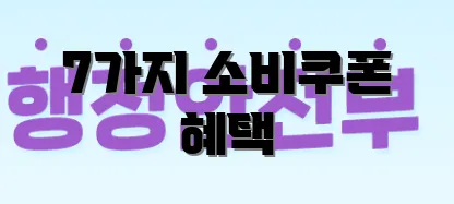 7가지 소비쿠폰 혜택
