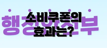 소비쿠폰의 효과는?
