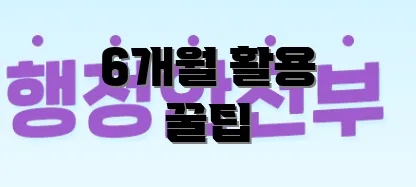6개월 활용 꿀팁