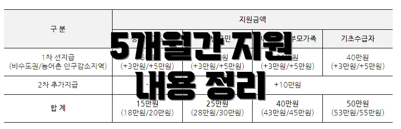 5개월간 지원 내용 정리
