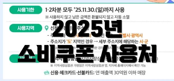 2025년 소비쿠폰 사용처