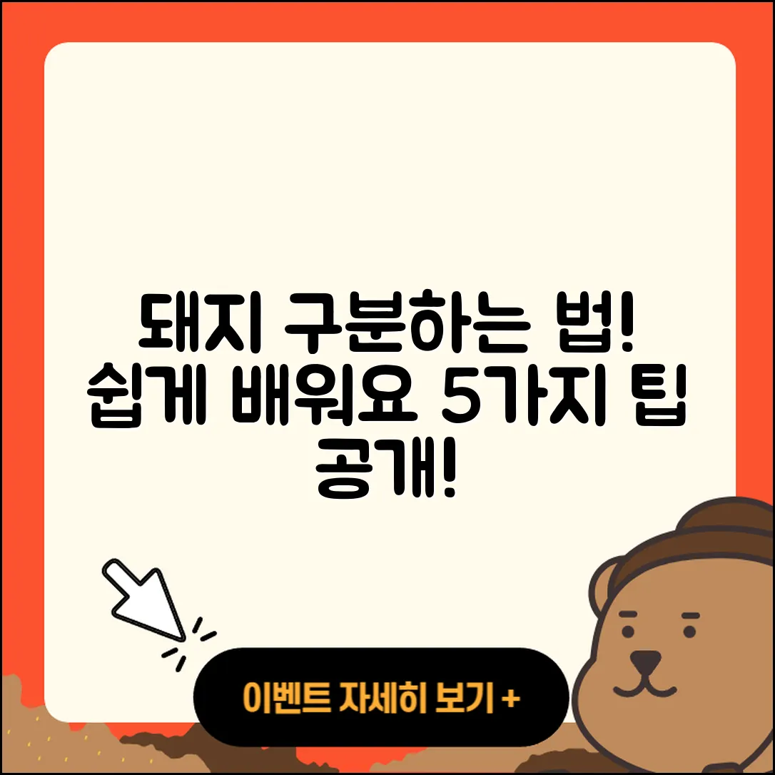 되지는 돼지구분, 쉽게 배우는 5가지 방법
